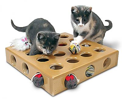 Kedi Oyuncakları